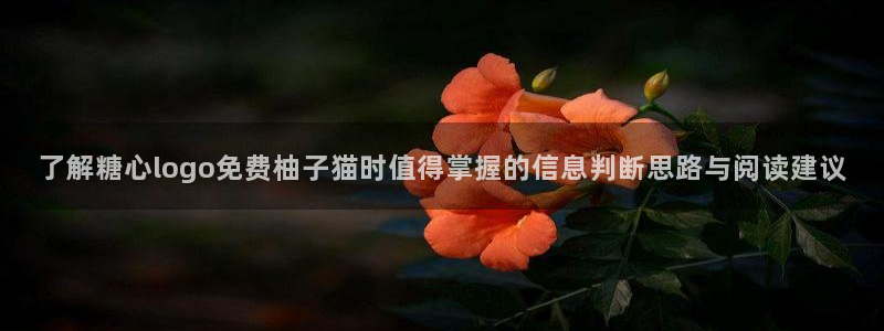 糖心官网免费观看