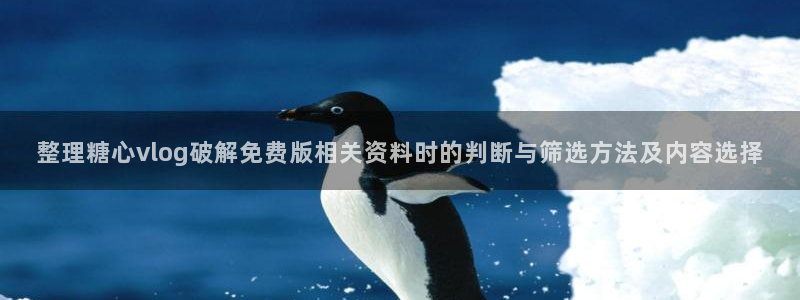 糖心app在线观看