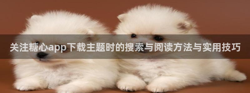 糖心vlog官网版下载