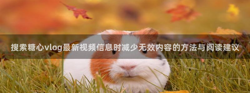 糖心vlog日常生活