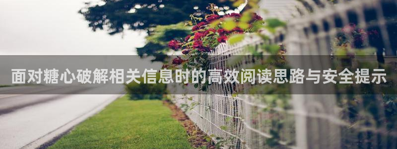 糖心vlog官方免费观看
