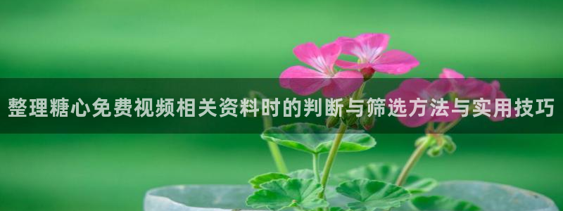 糖心vlog下载入口