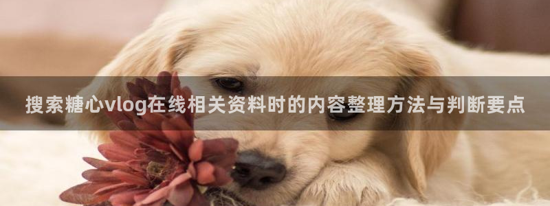 糖心视频免费在线观看