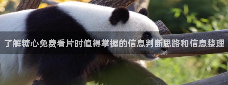糖心视频在线观看