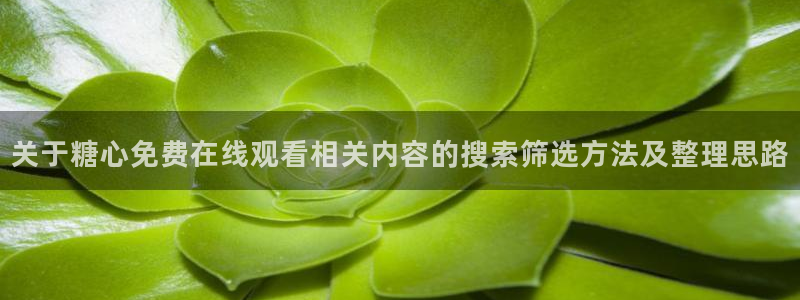 糖心vlog破解版免费版:关于糖心免费在线观看相关内容的搜索筛选方法及整理思路