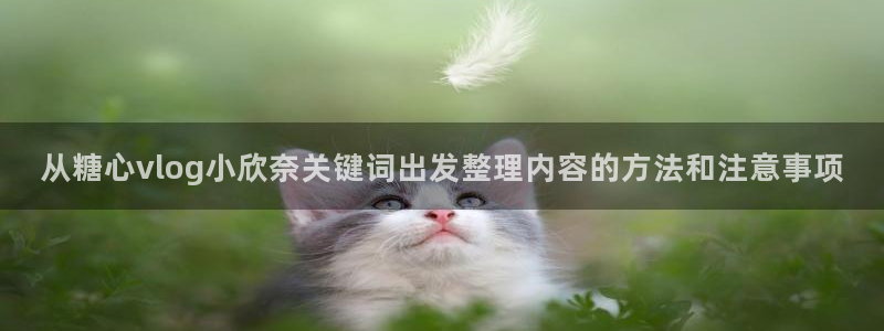 糖心看片